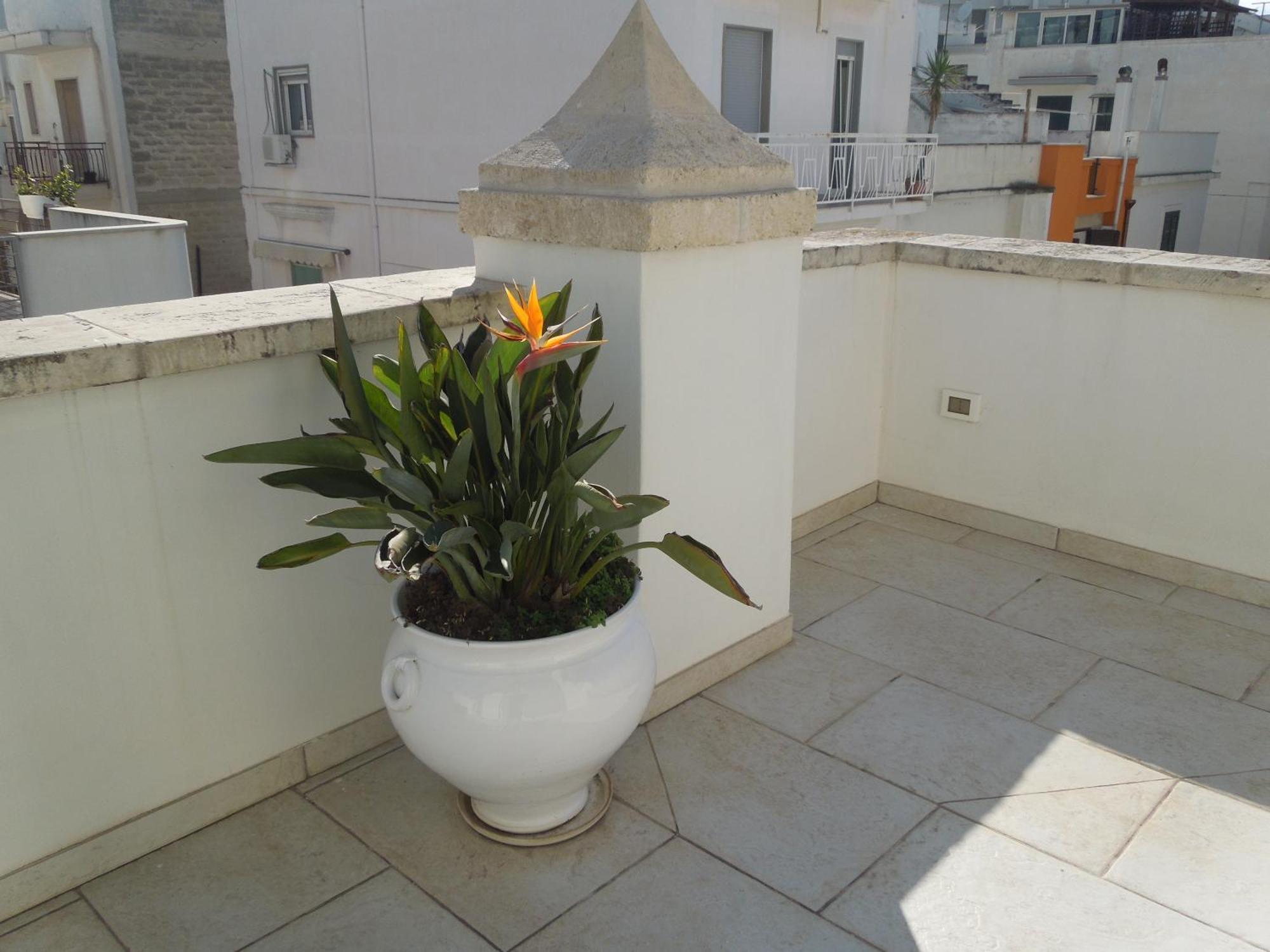 Dimora Girolamo Bed & Breakfast Polignano a Mare Exterior foto